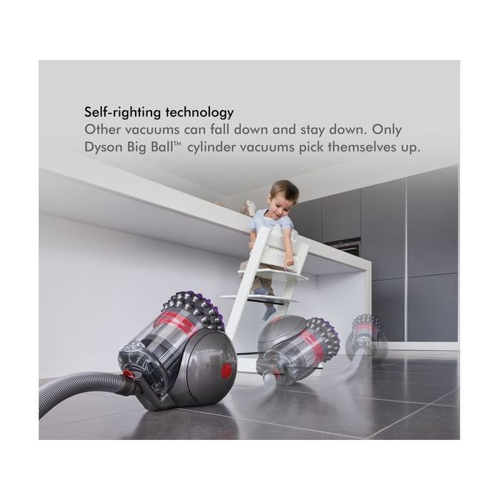 Dyson BIGBALLANIMAL2  Big Ball Animal 2 Cylinder Vacuum Cleaner