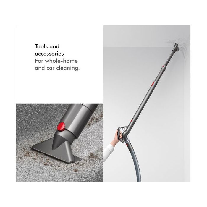 Dyson BIGBALLANIMAL2  Big Ball Animal 2 Cylinder Vacuum Cleaner