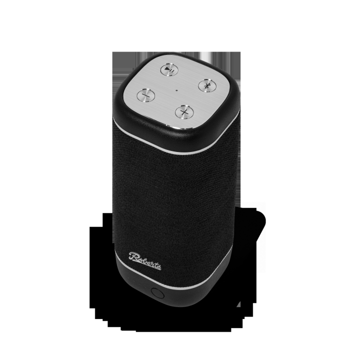 Roberts Radio REUNIONBK Speaker - Black