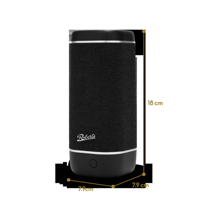 Roberts Radio REUNIONBK Speaker - Black